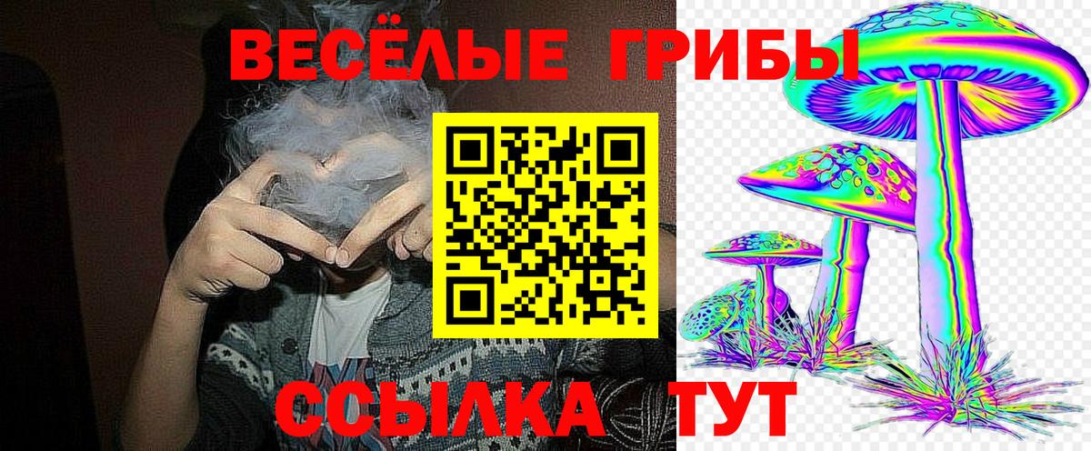 Псилоцибиновые грибы мицелий Нягань