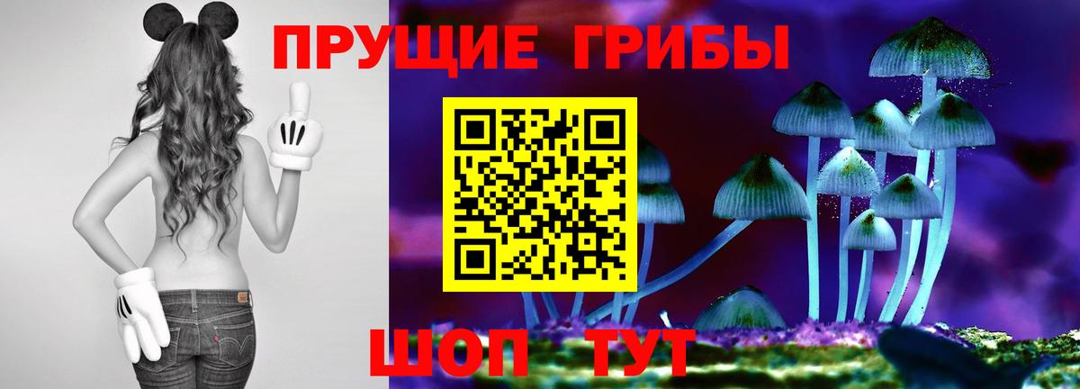 Псилоцибиновые грибы GOLDEN TEACHER  Вход с VPN  Псилоцибиновые грибы MAGIC MUSHROOMS  Нягань 
